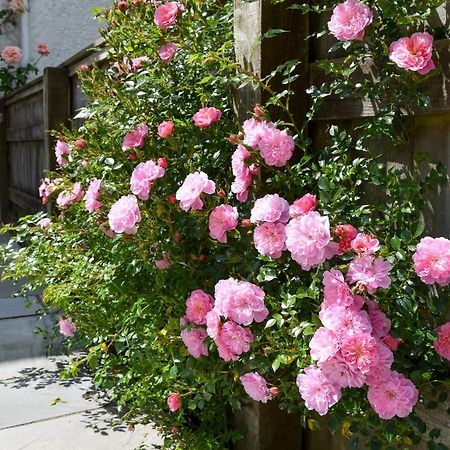ブリッドポート Sweet Briar - 8234ヴィラ エクステリア 写真